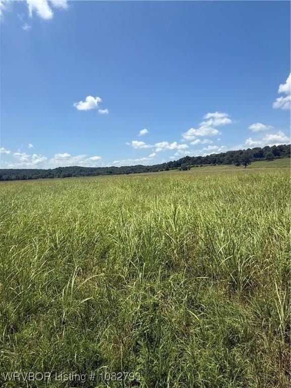 TBD Upper Janes Creek Rd, Ar, AR 72459 - photo 6