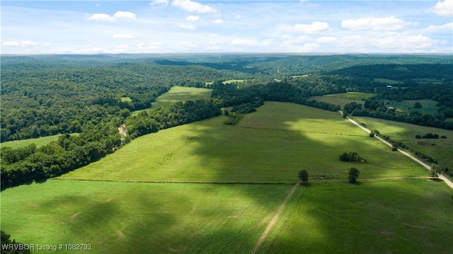 TBD Upper Janes Creek Rd, Ar, AR 72459 - photo 39
