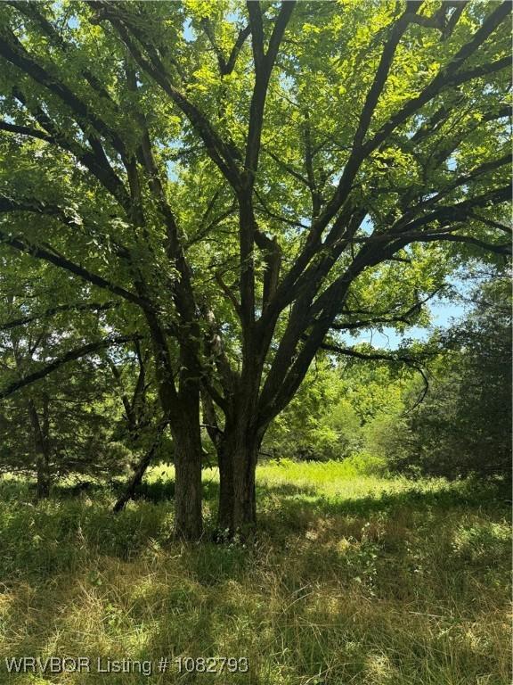 TBD Upper Janes Creek Rd, Ar, AR 72459 - photo 13