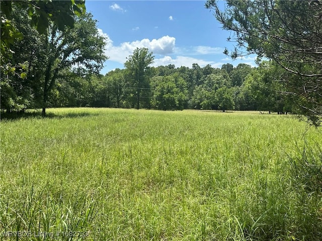 TBD Upper Janes Creek Rd, Ar, AR 72459 - photo 9