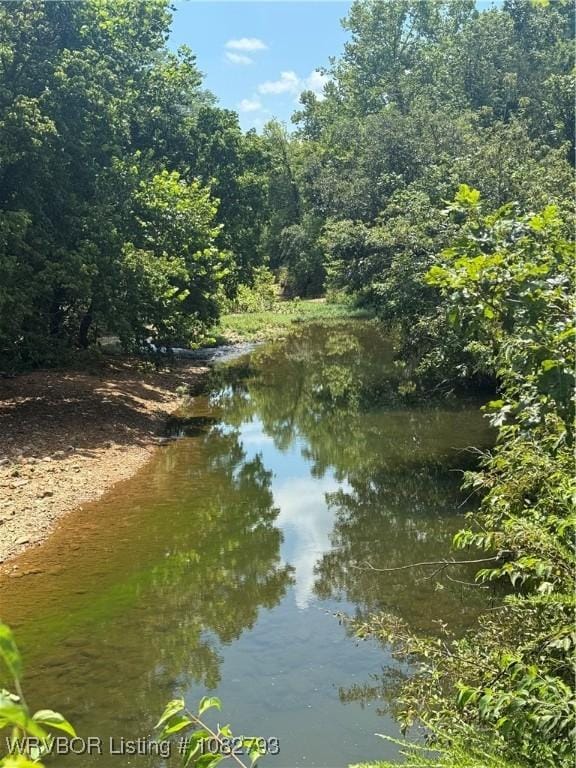 TBD Upper Janes Creek Rd, Ar, AR 72459 - photo 10