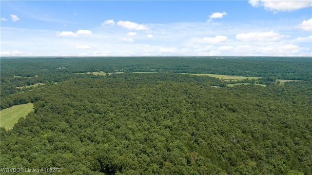 TBD Upper Janes Creek Rd, Ar, AR 72459 - photo 20