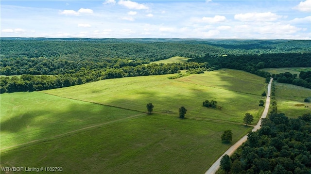 TBD Upper Janes Creek Rd, Ar, AR 72459 - photo 40
