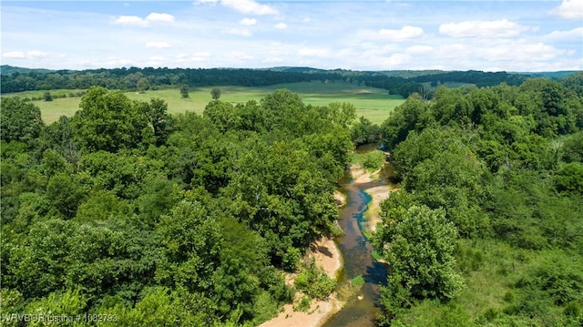 TBD Upper Janes Creek Rd, Ar, AR 72459 - photo 36