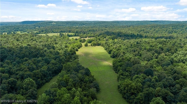 TBD Upper Janes Creek Rd, Ar, AR 72459 - photo 24