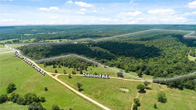 TBD Upper Janes Creek Rd, Ar, AR 72459 - photo 16