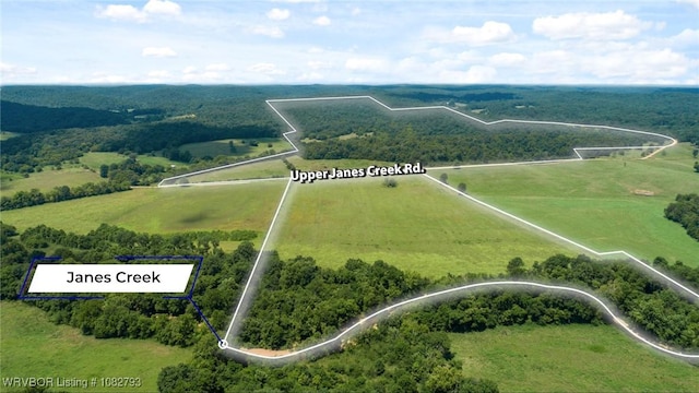 TBD Upper Janes Creek Rd, Ar, AR 72459 - photo 4