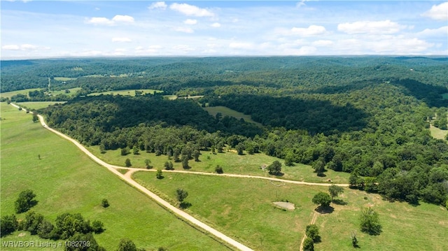 TBD Upper Janes Creek Rd, Ar, AR 72459 - photo 25