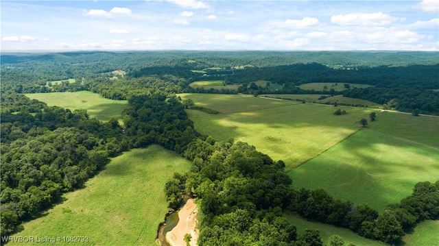 TBD Upper Janes Creek Rd, Ar, AR 72459 - photo 38