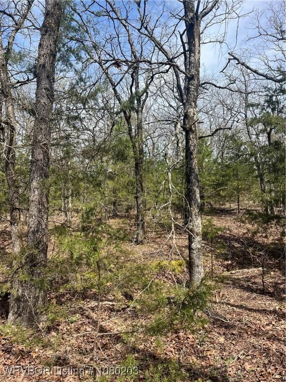 TRACT2 Station Rd, Bokoshe, OK 74930 - photo 11