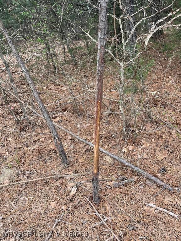 TRACT2 Station Rd, Bokoshe, OK 74930 - photo 3
