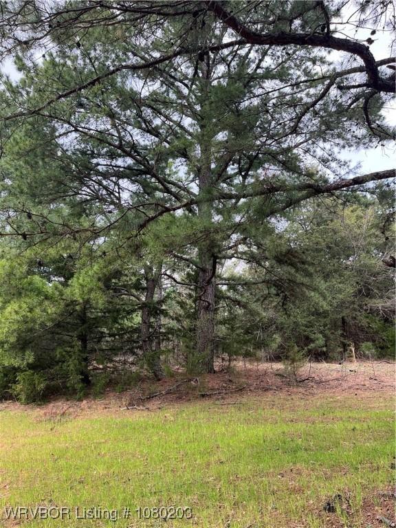 TRACT2 Station Rd, Bokoshe, OK 74930 - photo 14