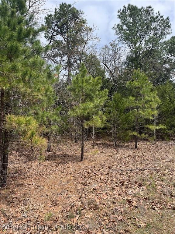 TRACT2 Station Rd, Bokoshe, OK 74930 - photo 16
