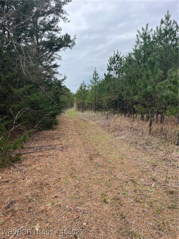 TRACT2 Station Rd, Bokoshe, OK 74930 - photo 7