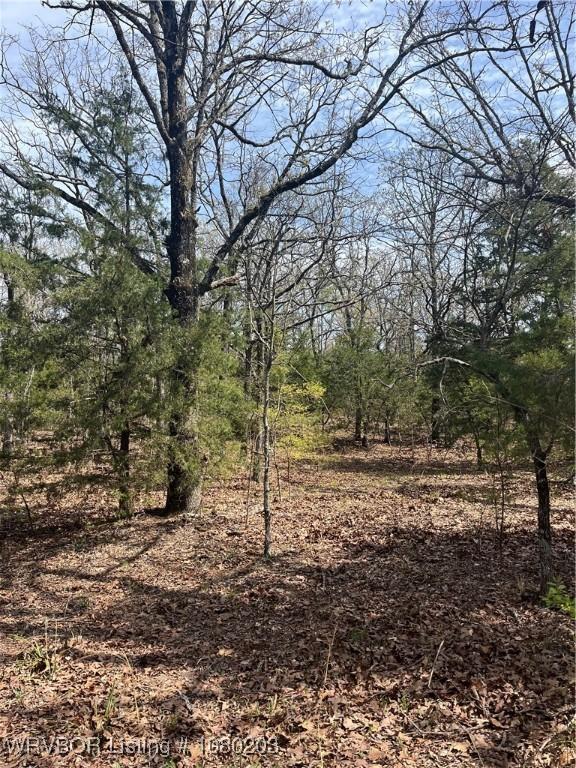 TRACT2 Station Rd, Bokoshe, OK 74930 - photo 12