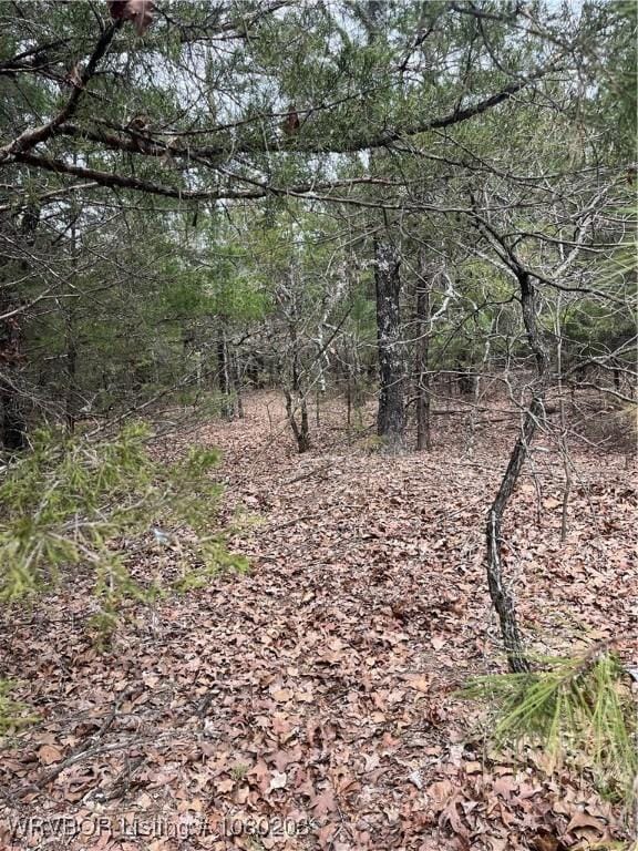 TRACT2 Station Rd, Bokoshe, OK 74930 - photo 4