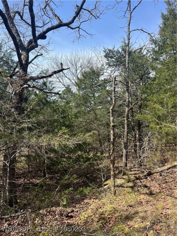 TRACT2 Station Rd, Bokoshe, OK 74930 - photo 10
