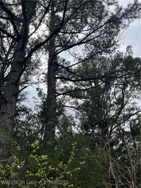 TRACT2 Station Rd, Bokoshe, OK 74930 - photo 5