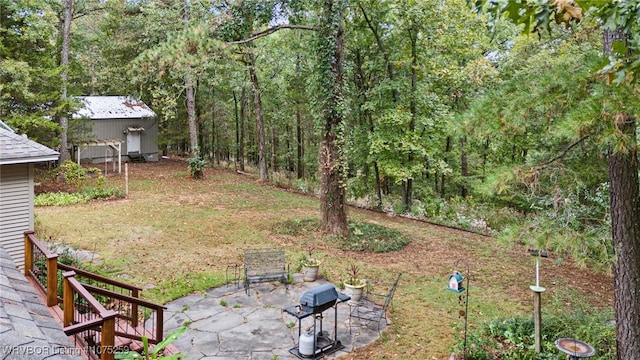 view of yard with a patio area and an outbuilding