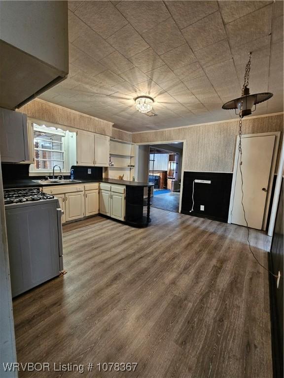 kitchen featuring gas range, wood-type flooring, and sink