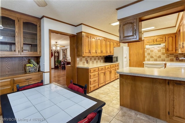 kitchen with ceiling fan, sink, a textured ceiling, decorative backsplash, and ornamental molding