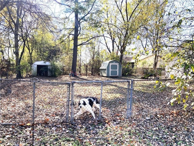 view of yard featuring a shed