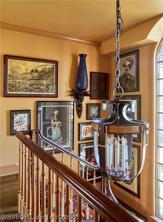 interior space with hardwood / wood-style floors and ornamental molding