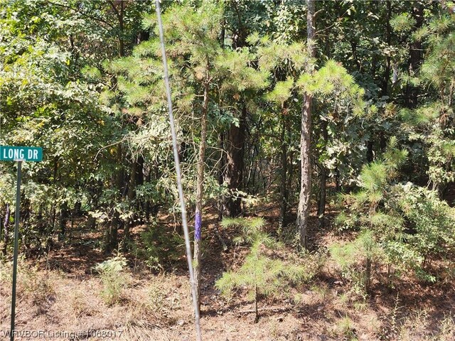 TBD Lee Road, Magazine, AR 72943 - photo 11