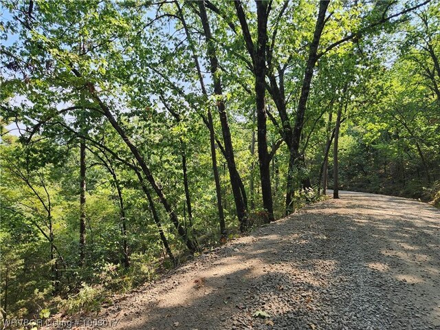 TBD Lee Road, Magazine, AR 72943 - photo 12