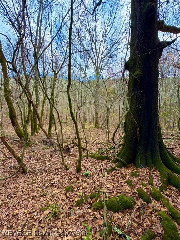 000 Fourche River Rd, Parks, AR 72950 - photo 21