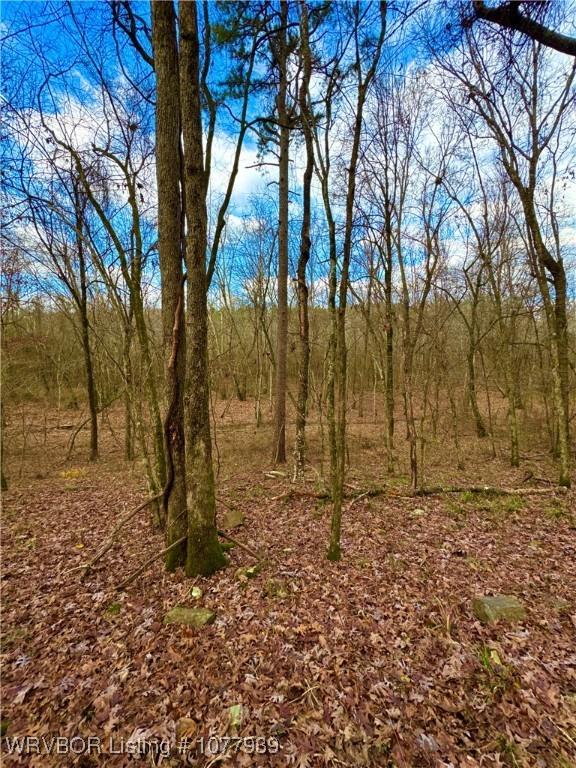 000 Fourche River Rd, Parks, AR 72950 - photo 17