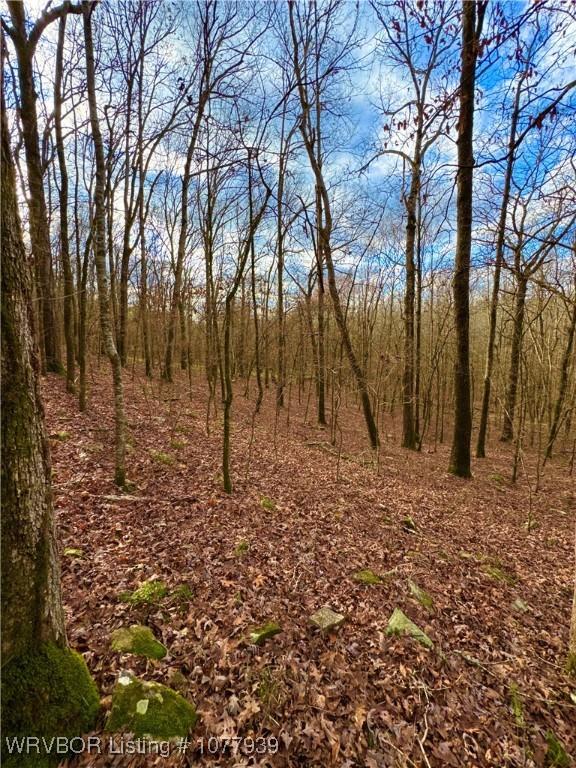 000 Fourche River Rd, Parks, AR 72950 - photo 4