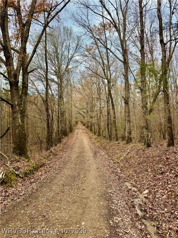 000 Fourche River Rd, Parks, AR 72950 - photo 23