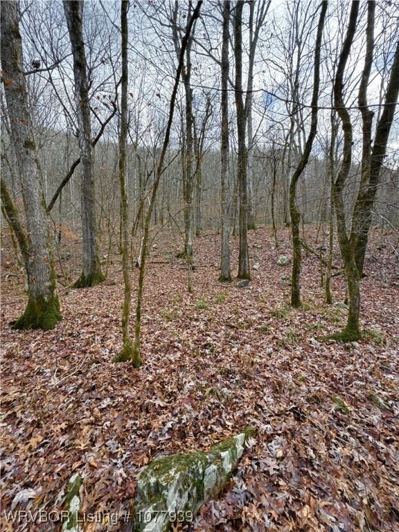 000 Fourche River Rd, Parks, AR 72950 - photo 16