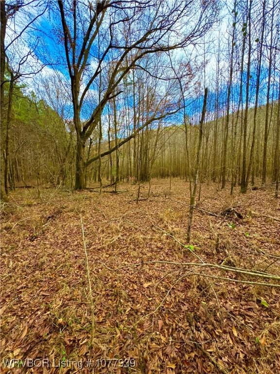 000 Fourche River Rd, Parks, AR 72950 - photo 19