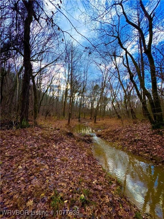 000 Fourche River Rd, Parks, AR 72950 - photo 22