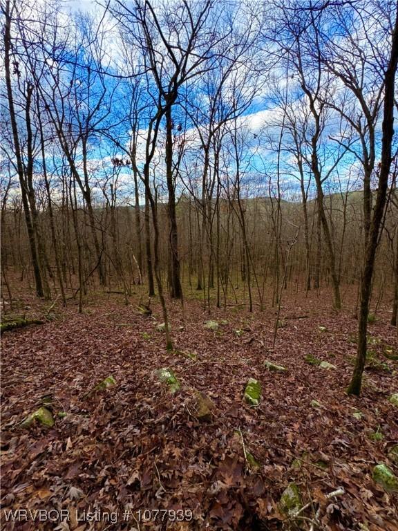 000 Fourche River Rd, Parks, AR 72950 - photo 3