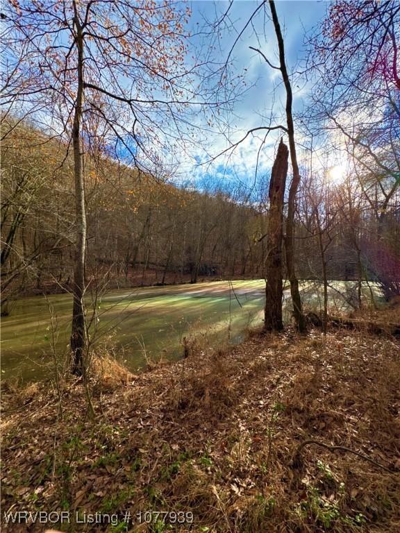 000 Fourche River Rd, Parks, AR 72950 - photo 9