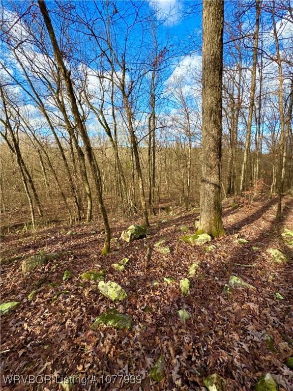 000 Fourche River Rd, Parks, AR 72950 - photo 14