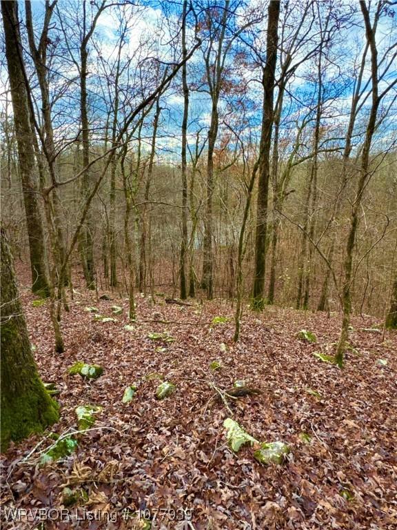000 Fourche River Rd, Parks, AR 72950 - photo 13