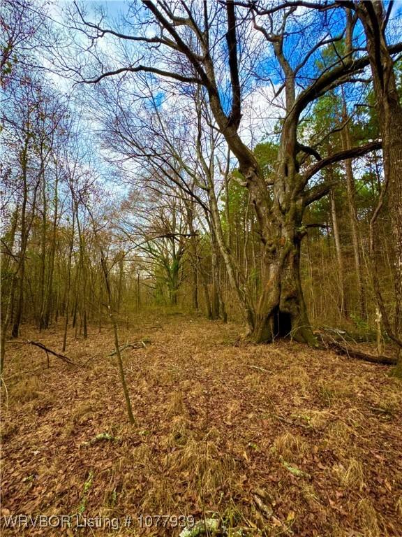 000 Fourche River Rd, Parks, AR 72950 - photo 20