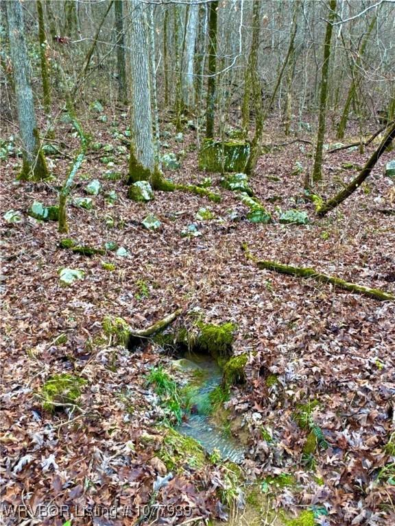 000 Fourche River Rd, Parks, AR 72950 - photo 15