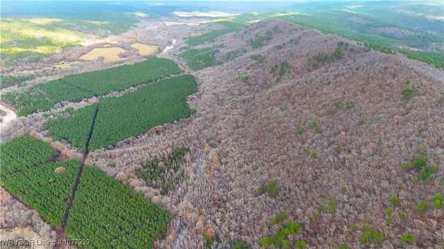 000 Fourche River Rd, Parks, AR 72950 - photo 1