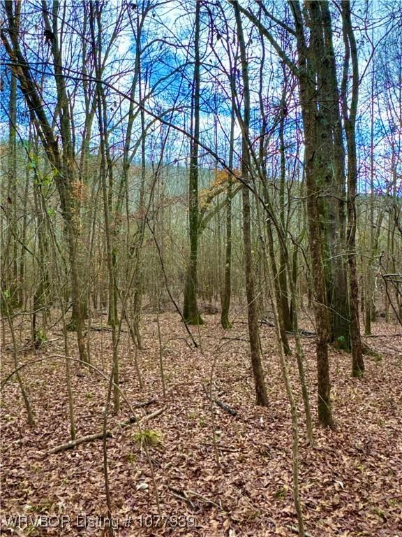 000 Fourche River Rd, Parks, AR 72950 - photo 18
