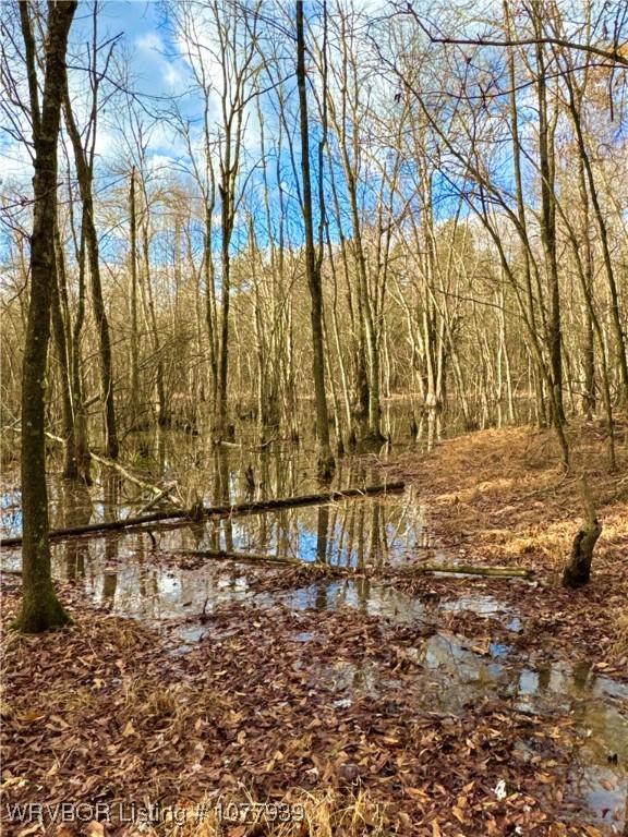000 Fourche River Rd, Parks, AR 72950 - photo 11