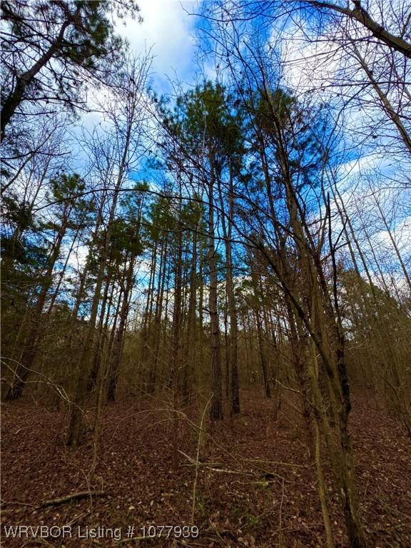 000 Fourche River Rd, Parks, AR 72950 - photo 7
