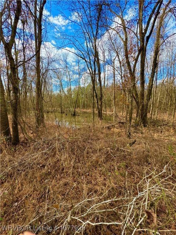000 Fourche River Rd, Parks, AR 72950 - photo 10