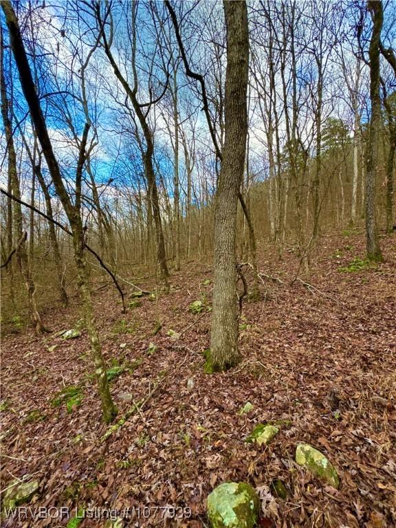 000 Fourche River Rd, Parks, AR 72950 - photo 2