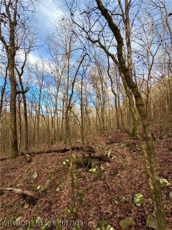 000 Fourche River Rd, Parks, AR 72950 - photo 5
