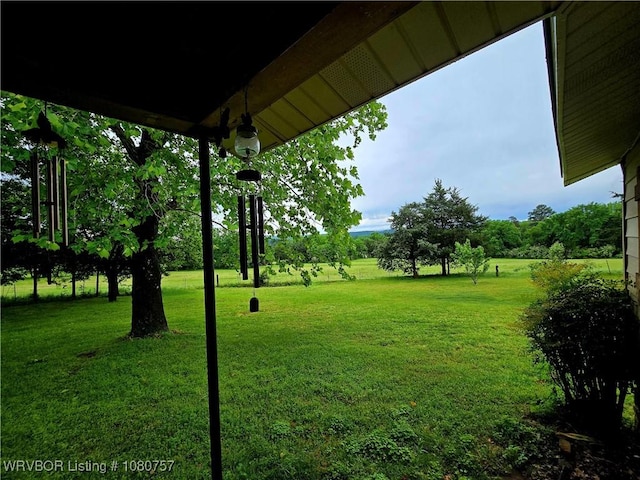 view of yard